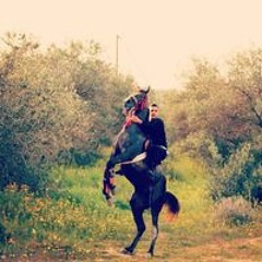 عادل ابوراني