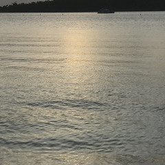 𝗨𝗻𝗸𝗻𝗼𝘄𝗻