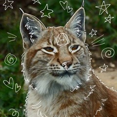 ✰𝒻𝓊𝓇𝓇𝓏✰🐾🪶⚓️