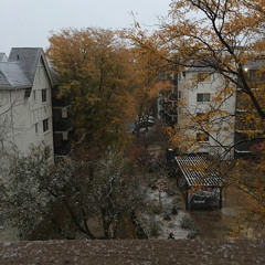 sinatrasznx