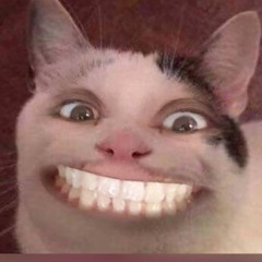 SnifferLuca