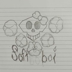 Softboix3