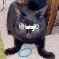 80HD