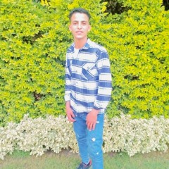 Youssef Ramadan Youssef