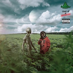 Cannabis Don