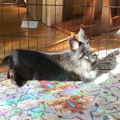 ☆ 🐟 St!ckM2nD8n 🐟 ☆