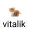 Vitalik