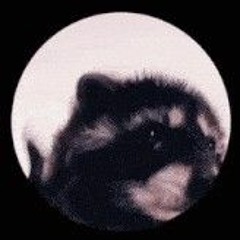 쌈뽕한 손일공