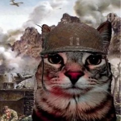 RR#