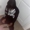 2200Dolo