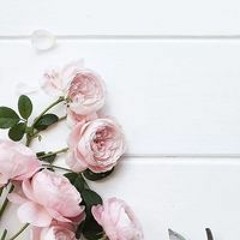 نزيهة الخروبي