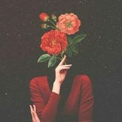 Shaista Afridi