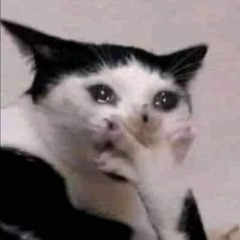 kittisak07