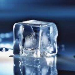 INFREEZE