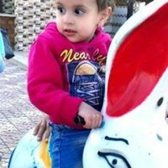 Dina Ibrahim Mahfouz