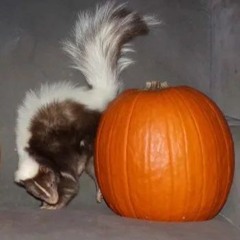 Trick or treat on christmas day