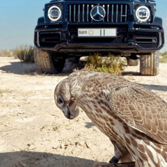 شيخـه⚠️