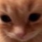 cat man