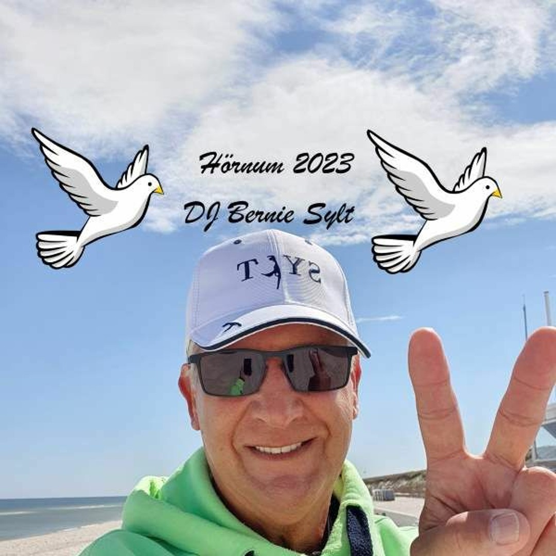 Stream DJ Bernie music | Listen to songs, albums, playlists for free on ...