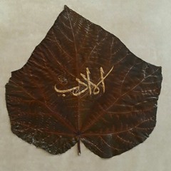 Alihaydar Mkstn