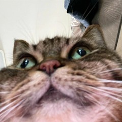 정원재