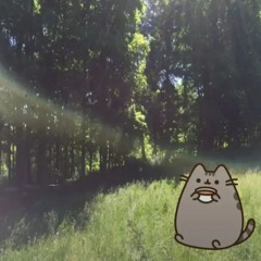 iminorsane