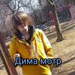 Фанат бреда