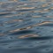 waterlaw.