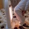 زهوه