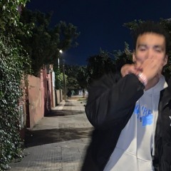 ysrnotnice