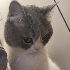 Minoo