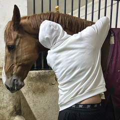 Mahdi Mabrouk