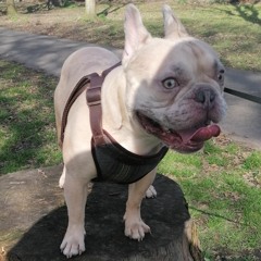 Cody123455