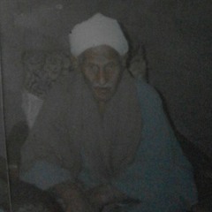 Mohamad Elghareb