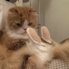 𝐸