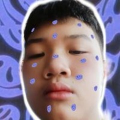 Nguyễn Hoàng Việt Linh