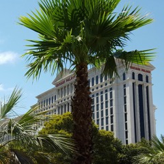 For The Love OF Money