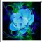 BlueLotus