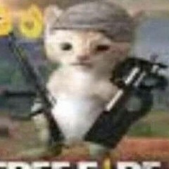 Zemn