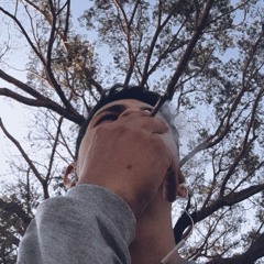 Xines