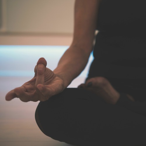 Pandit Ramesh Narayan