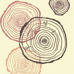 ☽ 𝖗𝖔𝖙𝖙𝖊𝖓𝖆𝖕𝖕𝖑𝖊 ☽