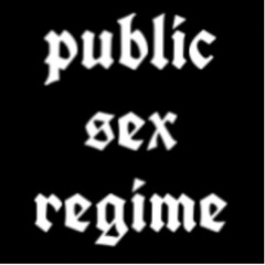 PUBLIC SEX REGIME PODCAST