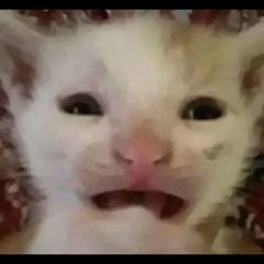 Xlebushekkk