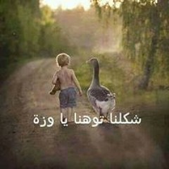 Amir Essa