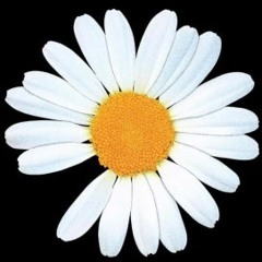 장강욱