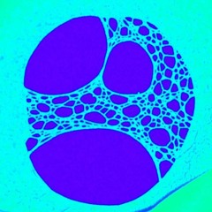 Everyone In This Family Is An Artist