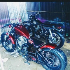 salam muddin