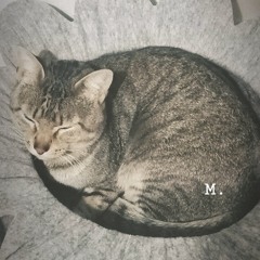 Micho