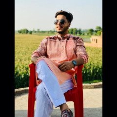 Mohsin Mughal4500
